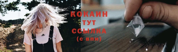 мет Инсар