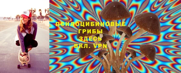 мет Инсар